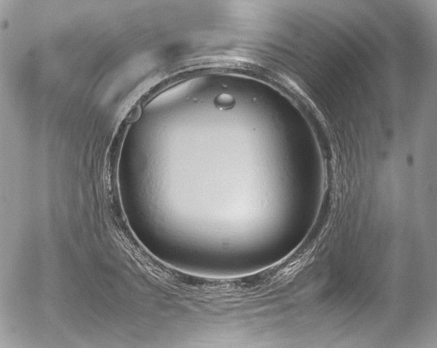 X0000054370883200507291044