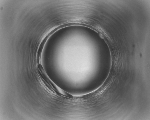 X0000054370884200507291044