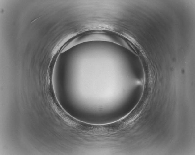 X0000054370885200507291044