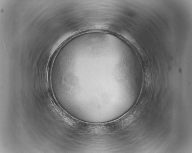 X0000054370886200507291044