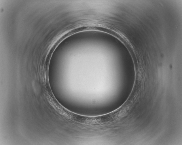 X0000054370887200507291044