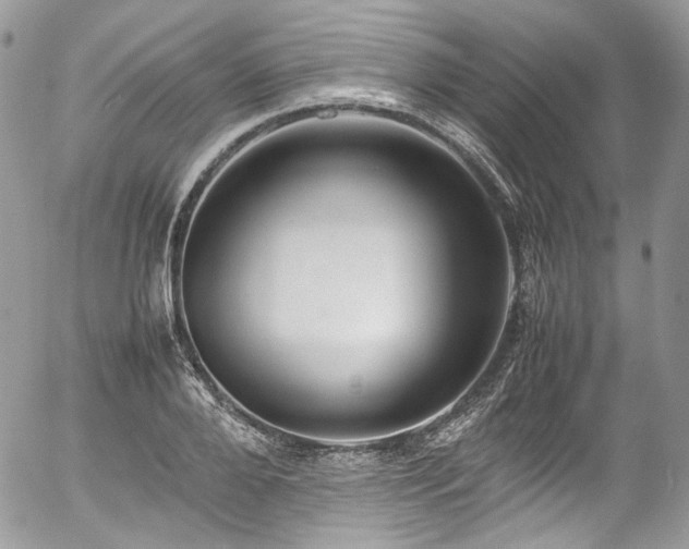 X0000054370888200507291044