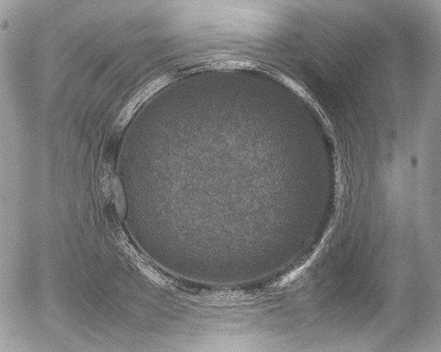 X0000054370889200507291044