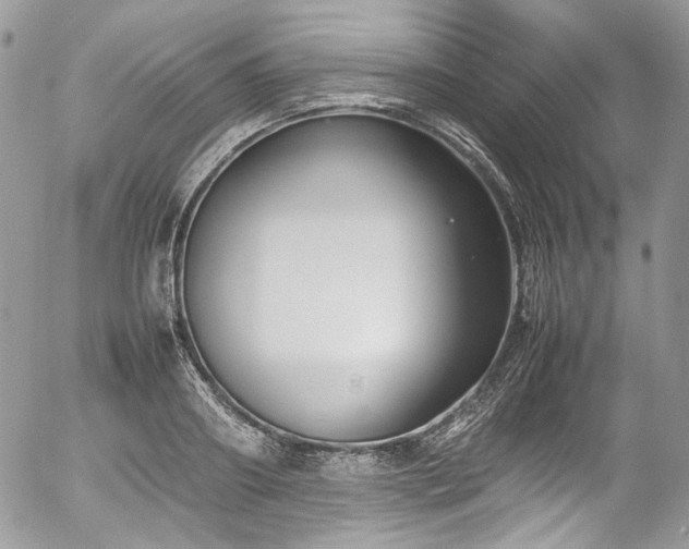 X0000054370890200507291044