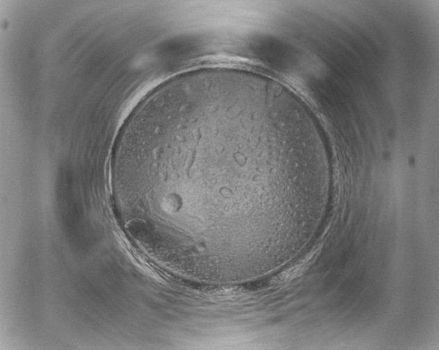 X0000054370891200507291044