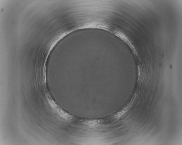 X0000054370892200507291044