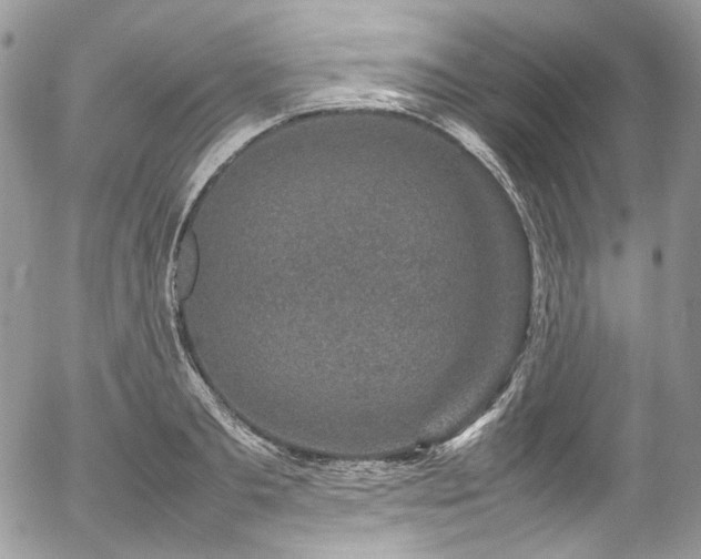 X0000054370893200507291044