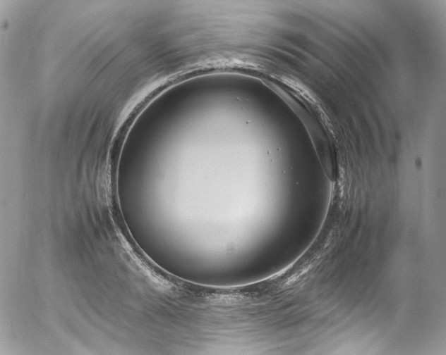 X0000054370894200507291044