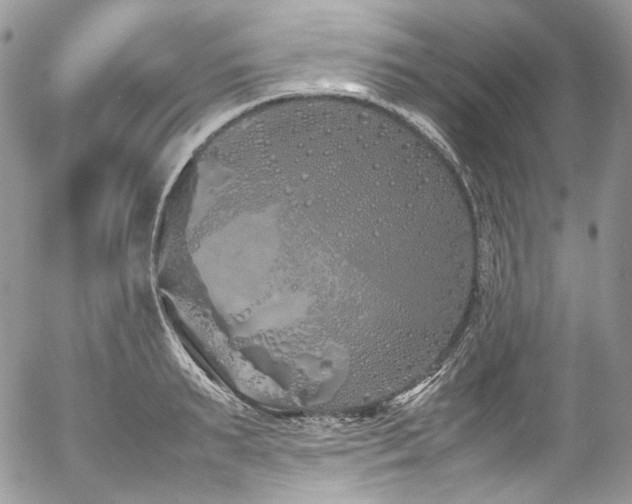 X0000054370895200507291044