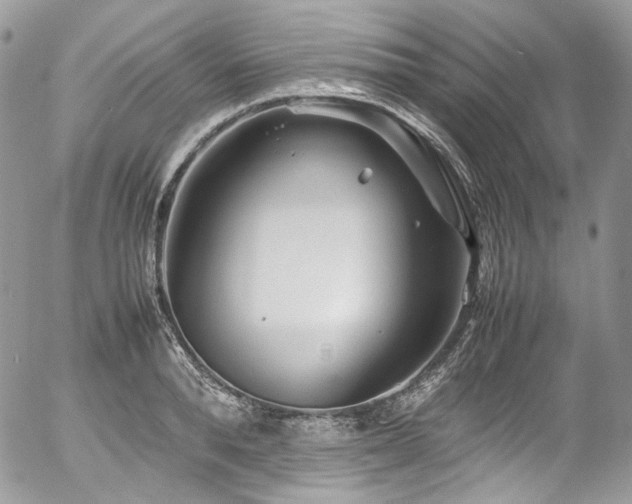 X0000054370896200507291044