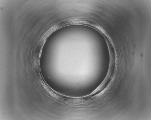 X0000054370897200507291044