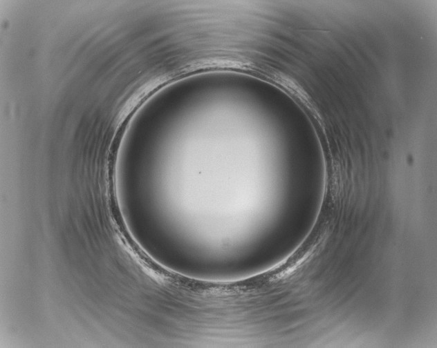 X0000054370898200507291044