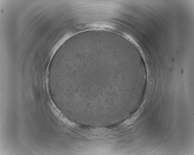 X0000054370899200507291044