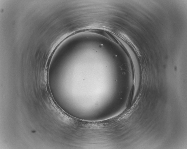 X0000054370900200507291044