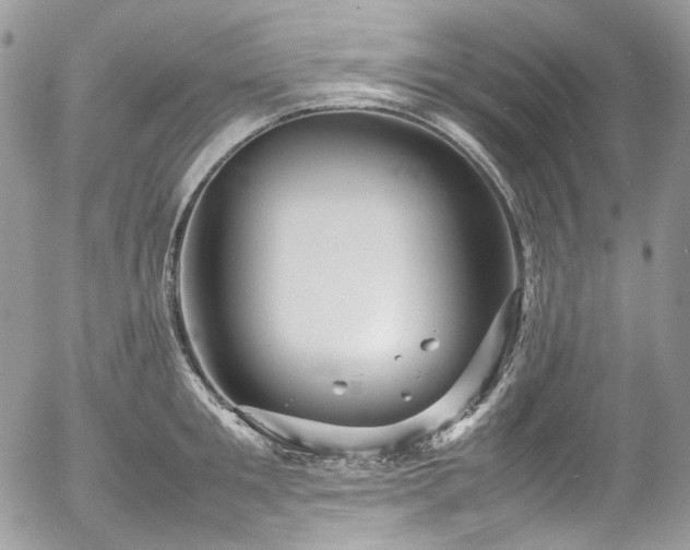 X0000054370901200507291044