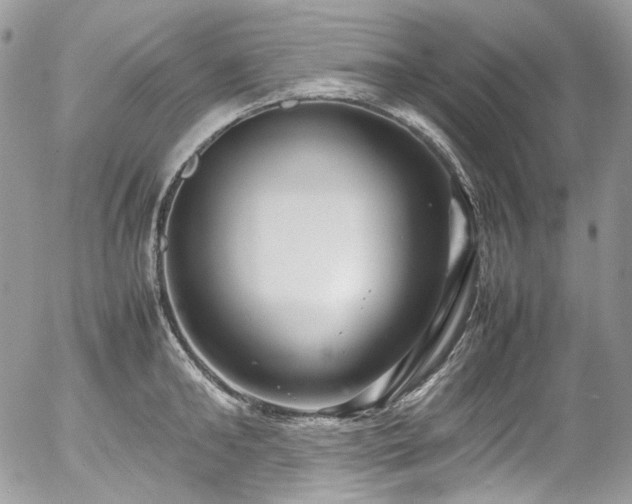 X0000054370902200507291044