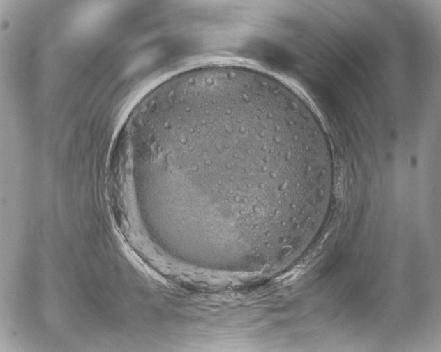 X0000054370903200507291044