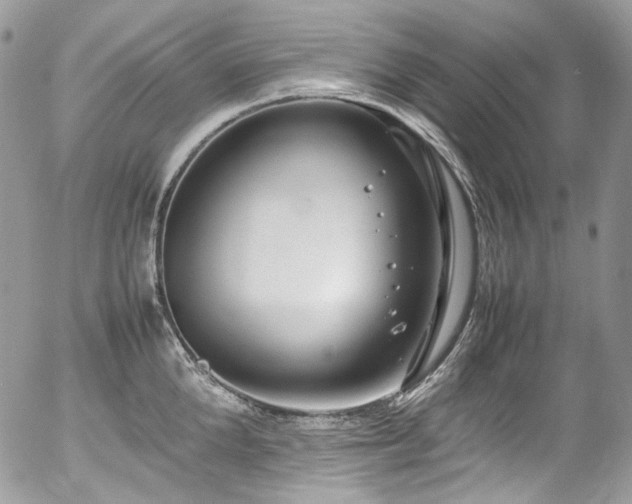 X0000054370904200507291044