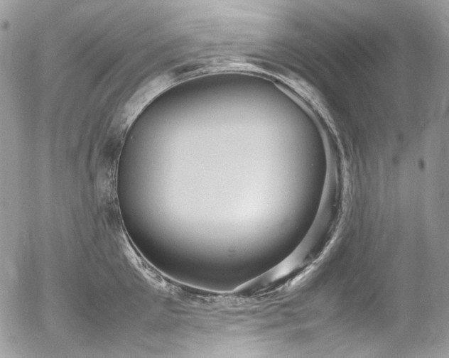 X0000054370905200507291044