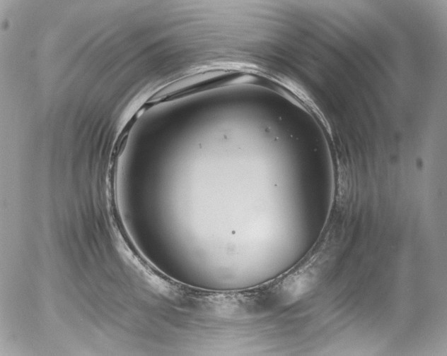 X0000054370906200507291044