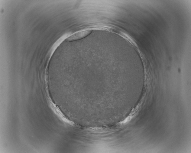 X0000054370907200507291044