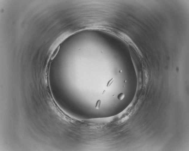 X0000054370908200507291043