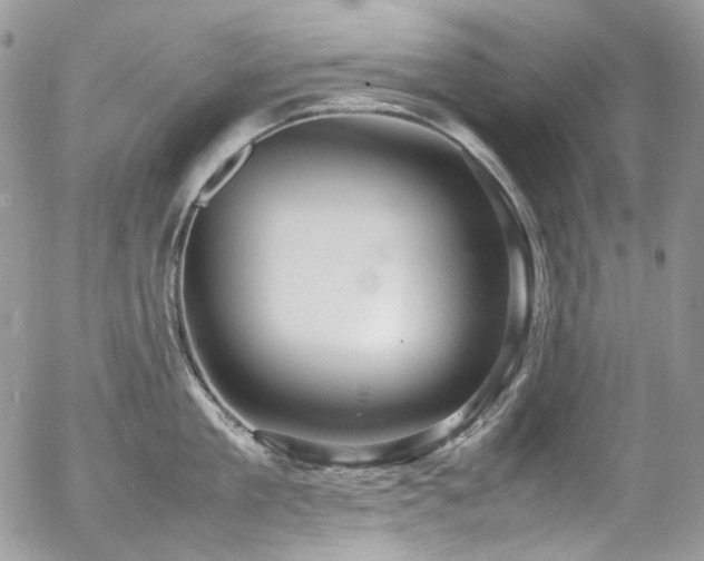 X0000054370909200507291043