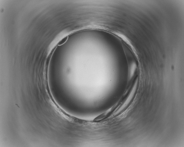 X0000054370910200507291043