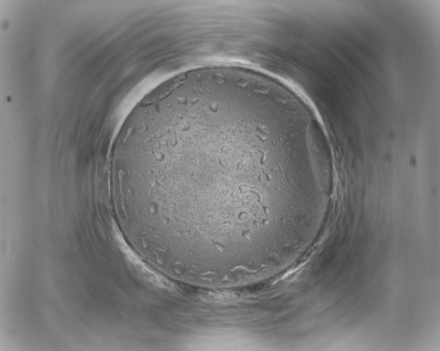 X0000054370911200507291043