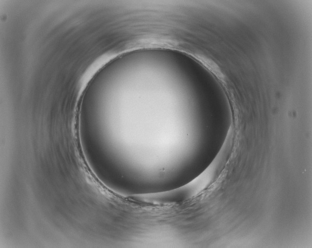 X0000054370912200507291043