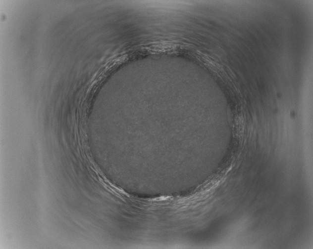 X0000054370913200507291043