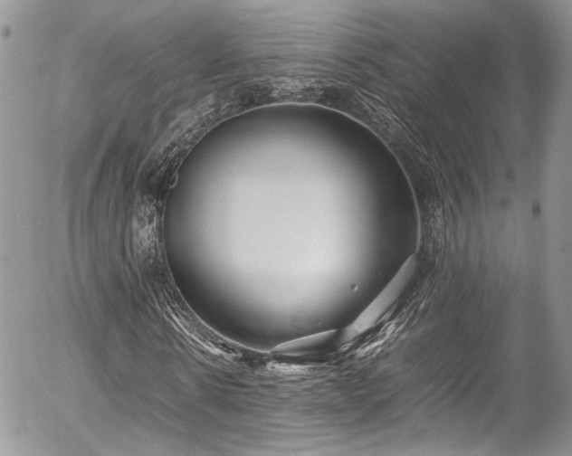 X0000054370914200507291043