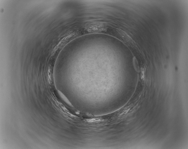 X0000054370915200507291043