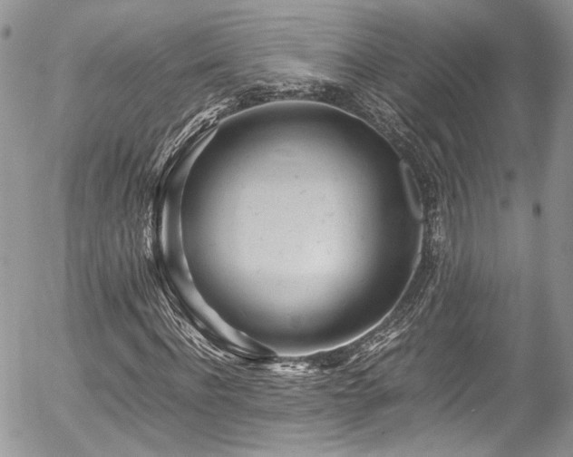 X0000054370916200507291043