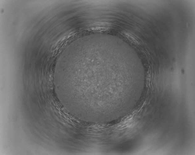 X0000054370917200507291043