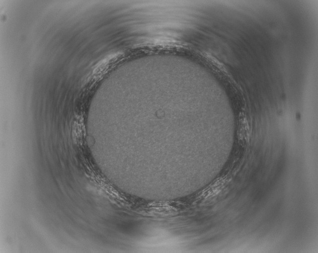 X0000054370918200507291043