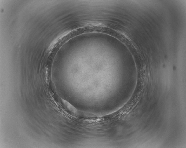 X0000054370919200507291043