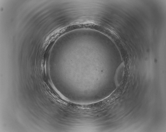 X0000054370920200507291043