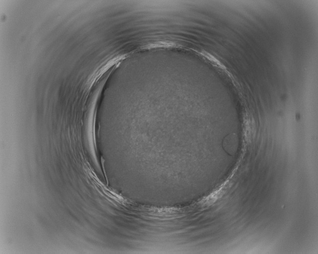 X0000054370921200507291043