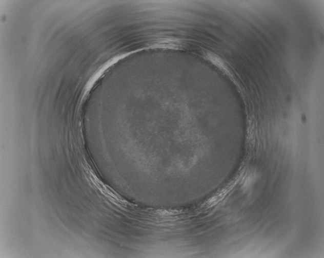 X0000054370923200507291043