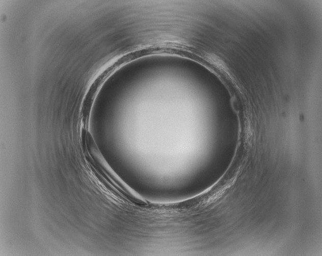 X0000054370924200507291043