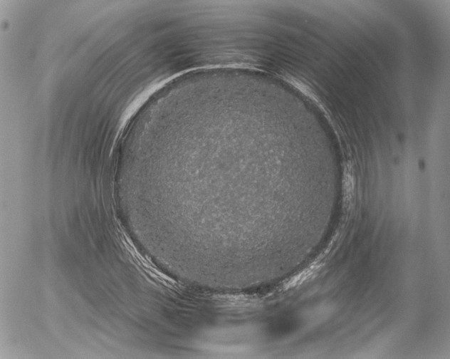 X0000054370925200507291043