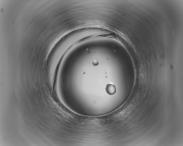 X0000054370926200507291043