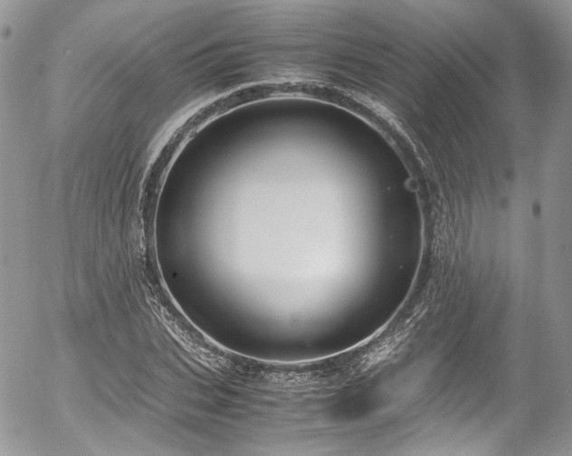 X0000054370927200507291043