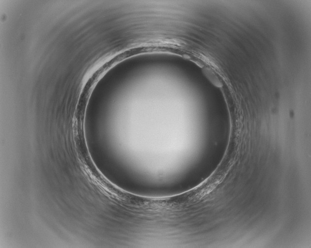 X0000054370928200507291043