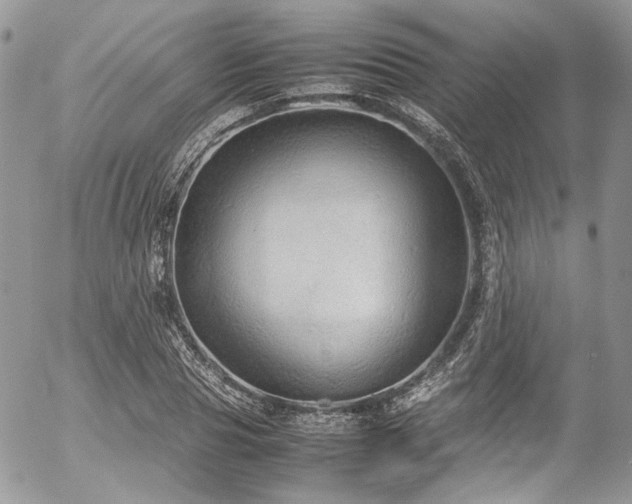 X0000054370929200507291043