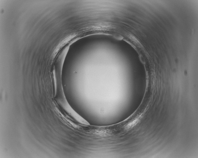 X0000054370930200507291043