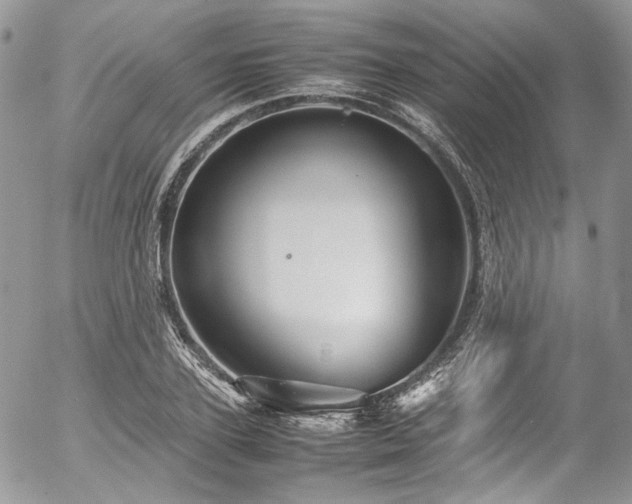 X0000054370931200507291043