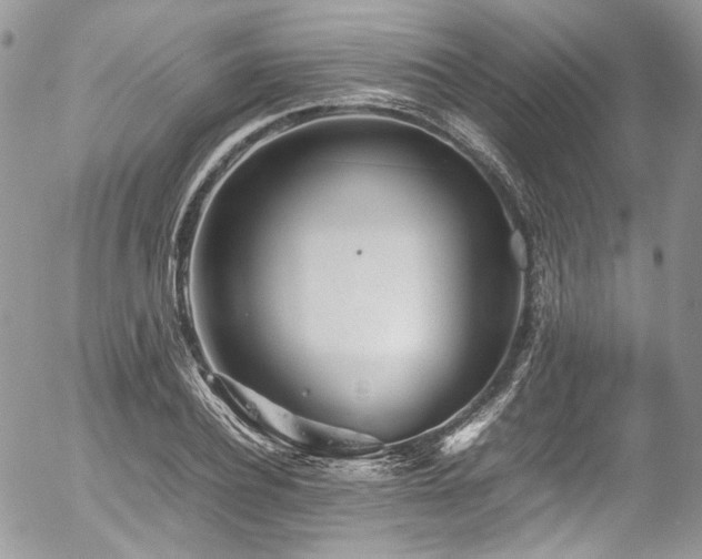 X0000054370932200507291043