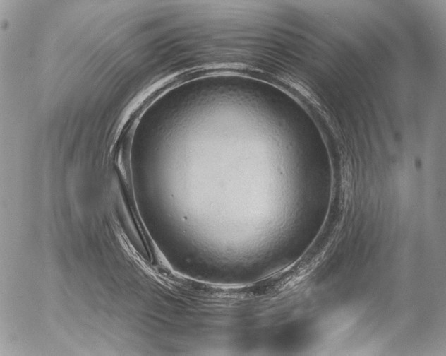 X0000054370933200507291043